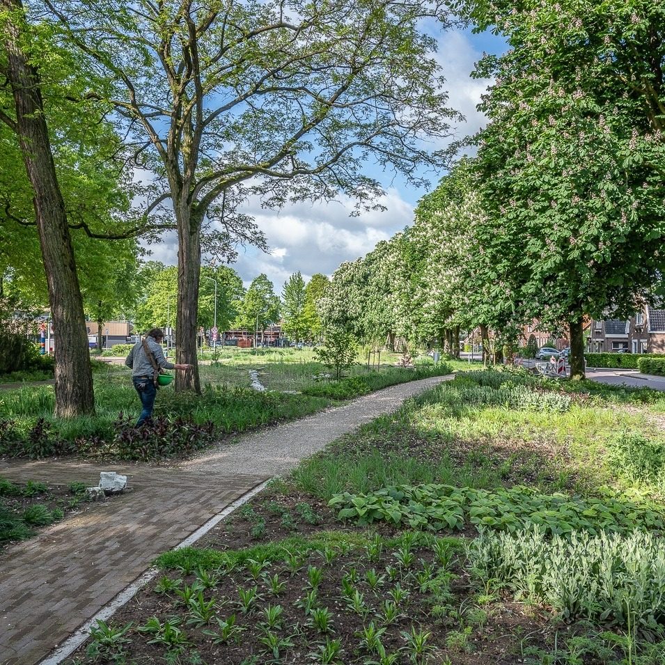 Remisepark 01