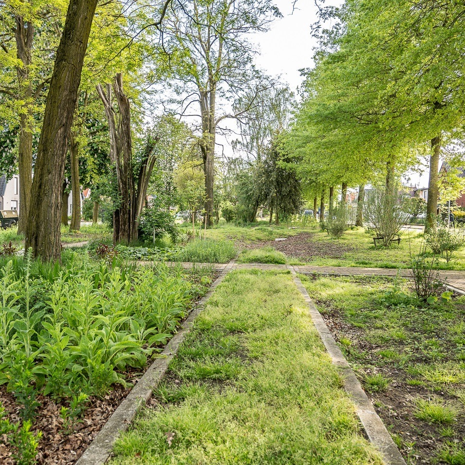 Remisepark 04