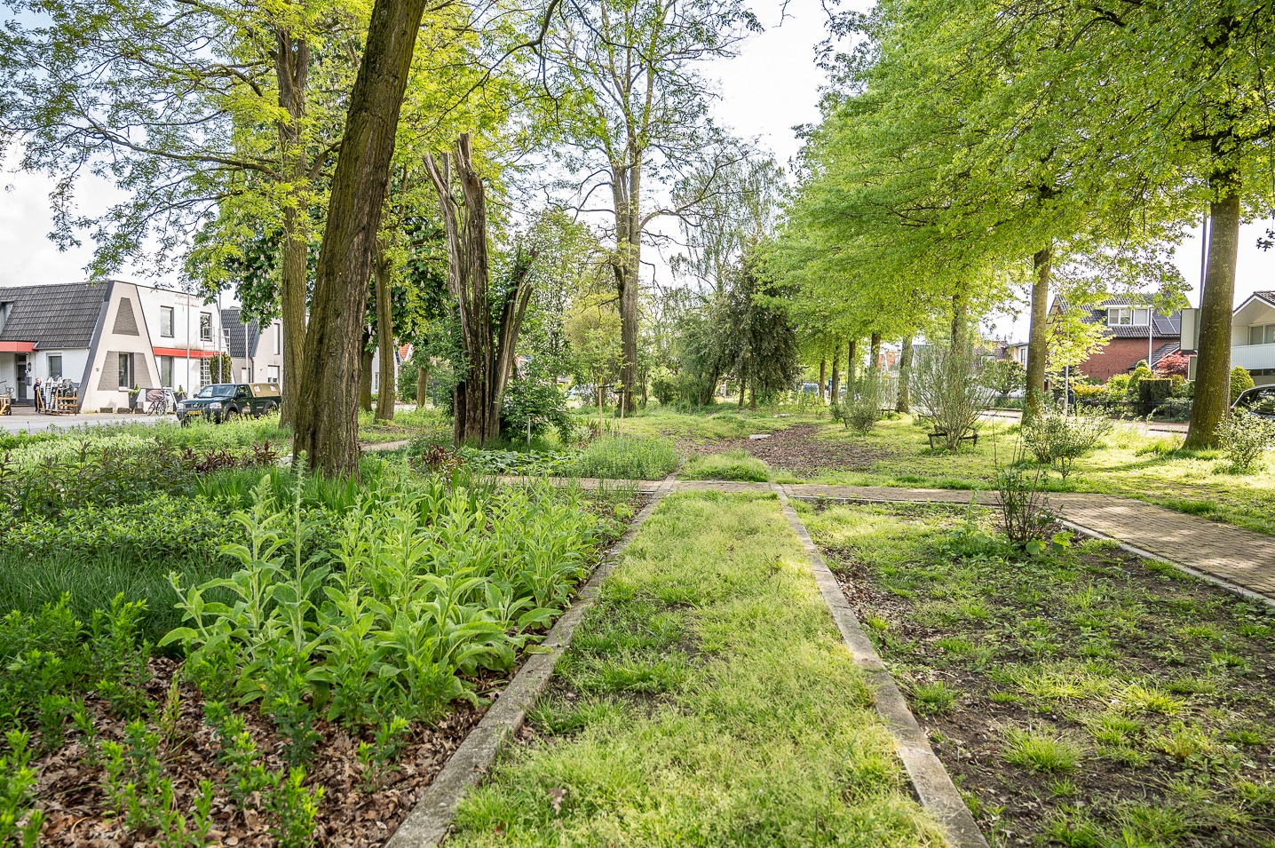 Remisepark 05