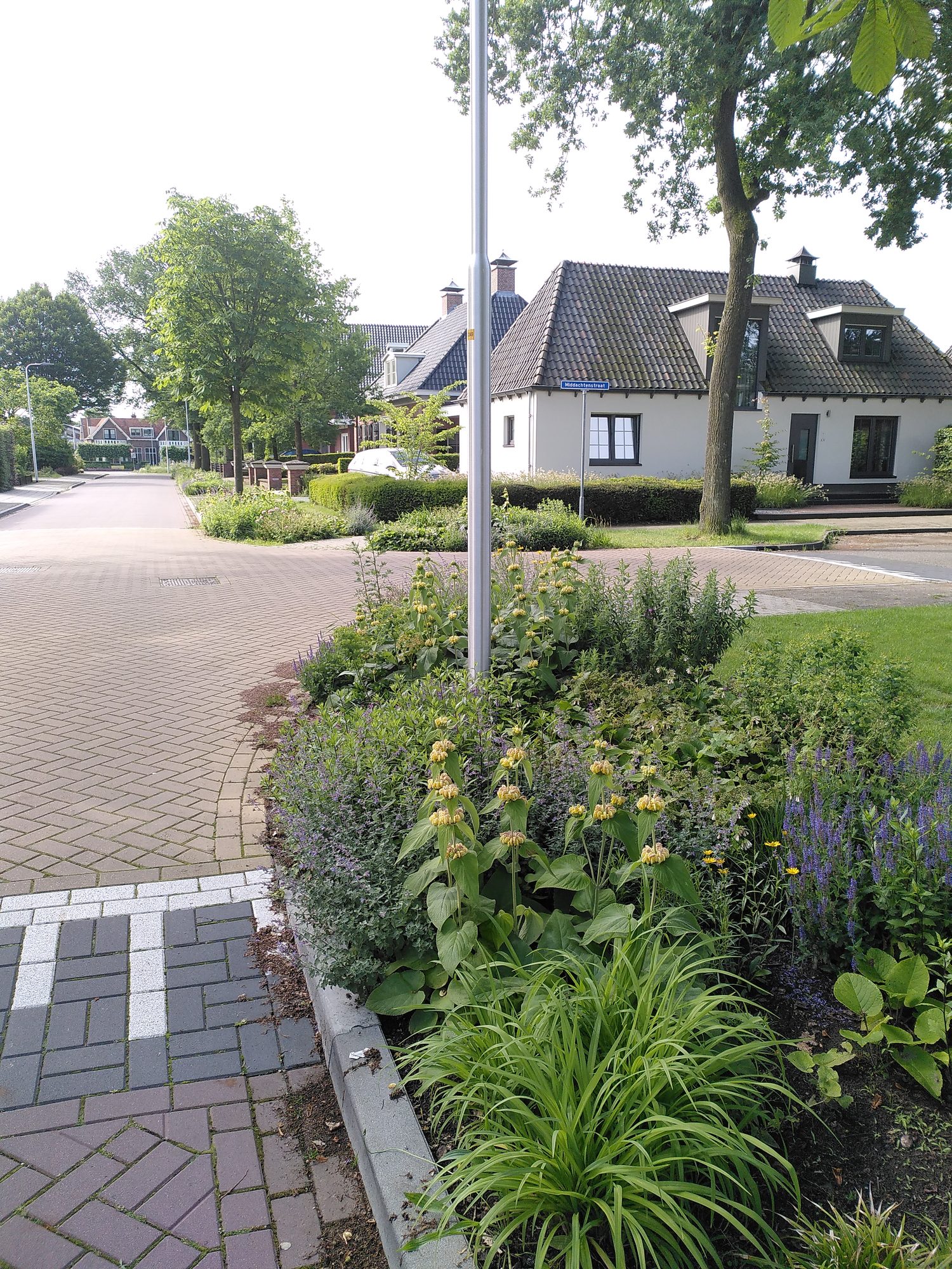 IMG 20240530