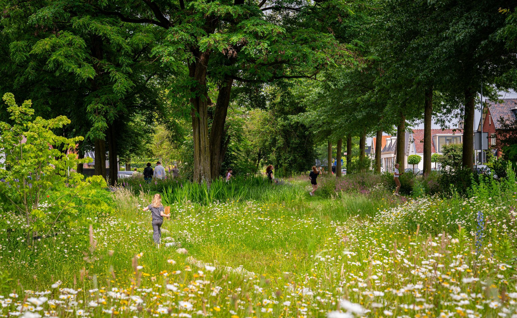 GroeneRuyt SpoorzoekerRemisepark
